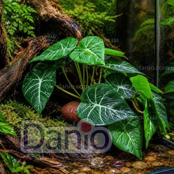 Купить Декорацию для террариума Hobby Cactus Victoria 1 в Danio.com.ua