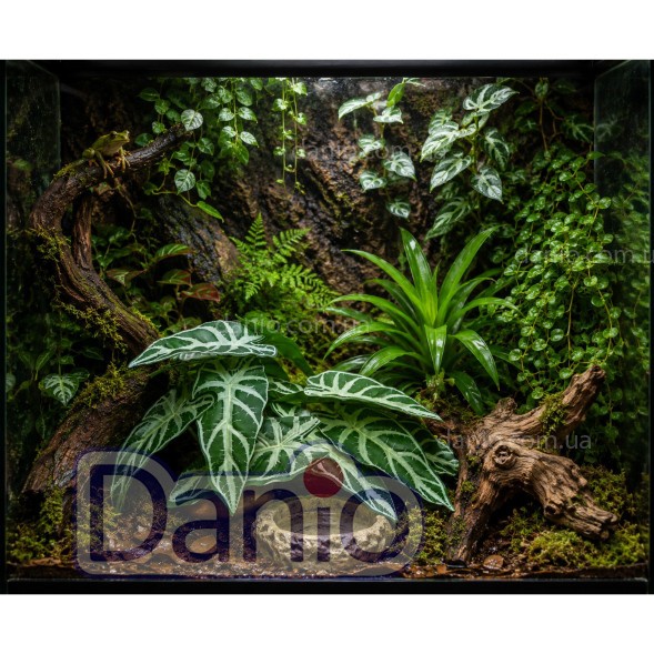 Купить Декорацию для террариума Hobby Cactus Victoria 1 в Danio.com.ua