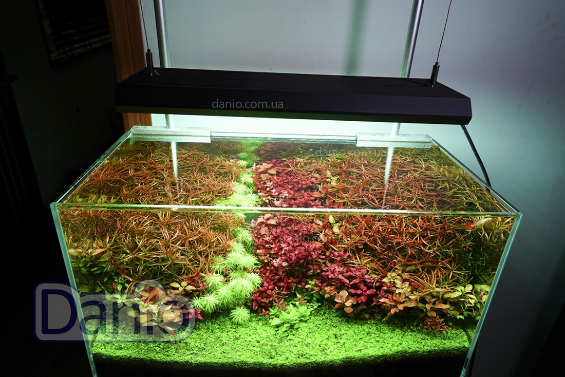 Купить светильник Chihiros RGB Vivid 2 для аквариумов до 90см - в