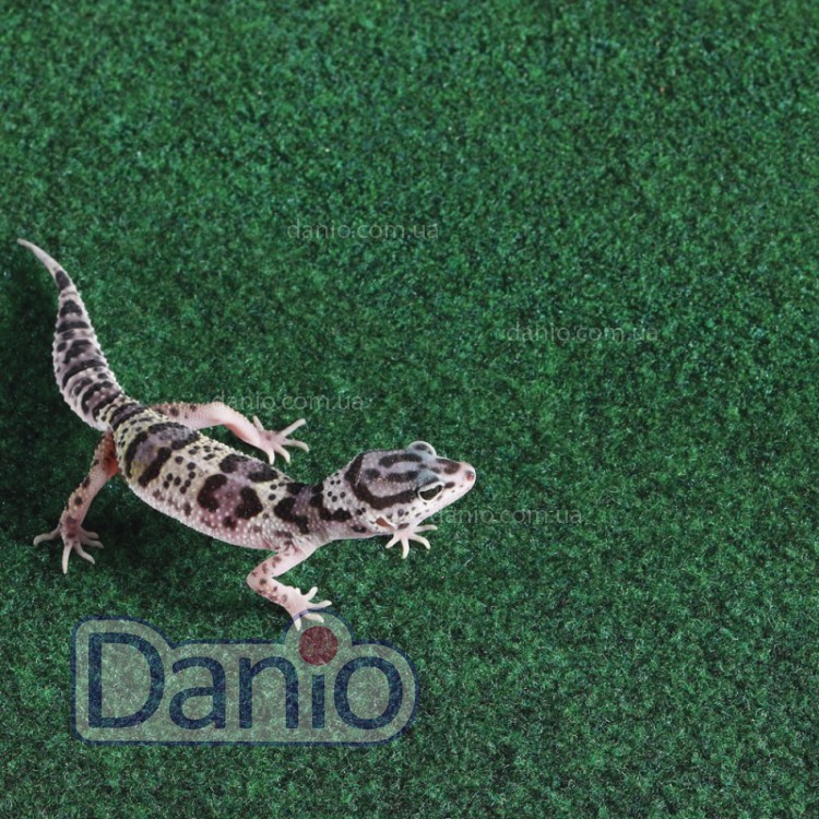 Купить Коврик в террариум Komodo Reptile Carpet, 60x50см в Интернет