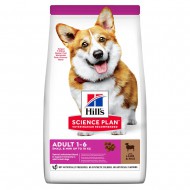 Корм для собак малых пород Hill's SCIENCE PLAN Adult Small&Mini, с ягненком и рисом, 0,3 кг