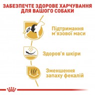 Картинка 4