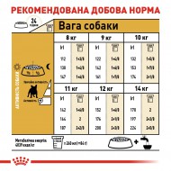 Картинка 5