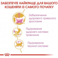 Картинка 3
