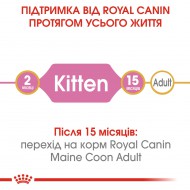 Картинка 4