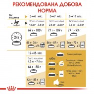 Картинка 5