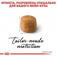 Картинка 3