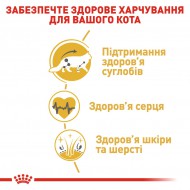 Картинка 4