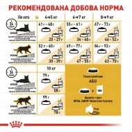 Картинка 5