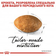 Картинка 3