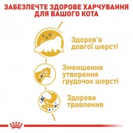 Картинка 4