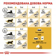 Картинка 5