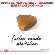 Картинка 3