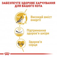 Картинка 4