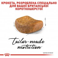 Картинка 3