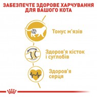 Картинка 4