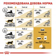 Картинка 5