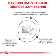 Картинка 3