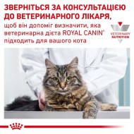Картинка 4