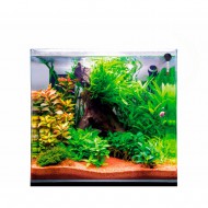 Аквариум из ультрабелого стекла Dupla Scaping Cube 30 30x30x35см