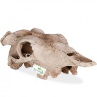 Декорация черепа буйвола Terrario Buffalo Skull 21x12x8см