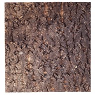 Фон из коры для террариума Repti-Zoo Big Tree Background 45х45