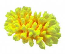 Декорация Tetradon Коралл 22х16х8см