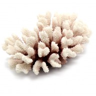 Декорация Tetradon Коралл 22х16х8см