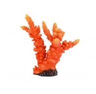 Прикраса Тетрадон Корал 18х8,5х18,5см