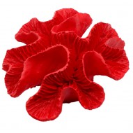 Декорація Tetradon Корал 17х13х5см