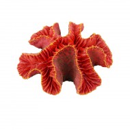 Декорація Tetradon Корал 12х10х4. 5см