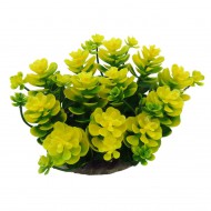 Растение для декора аквариума Tetradon 10x10x8cм желто-зеленое