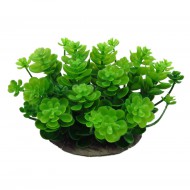 Декорация Tetradon Растение для декора аквариума 10x10x8cм зеленое