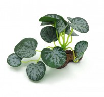 Декорация для аквариумаTetradon Растение на камне 