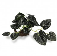 Декорация для аквариумаTetradon Растение на камне 