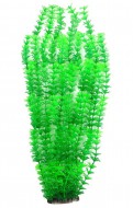 Растение для аквариума Tetradon 8x6x60см зеленое Ambulia
