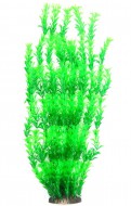 Растение для аквариума Tetradon 8x6x60см зеленое Ambulia