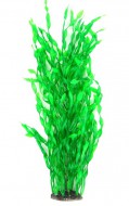 Растение для аквариума Tetradon 8x6x60см зеленое Ambulia