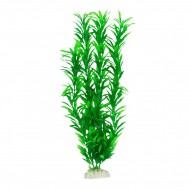 Растение для декора аквариума Tetradon 6x4x40cм зеленое Hygrophila