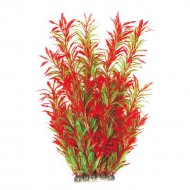 Растение для аквариума Tetradon 8x6x40см красно-зеленое Hygrophila