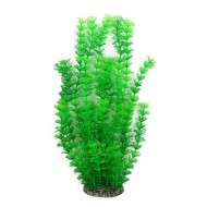 Растение для аквариума Tetradon 8x6x40см зеленое Ambulia