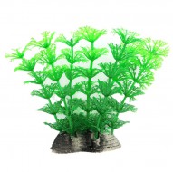 Растение для декора аквариума Tetradon 6x5x10cм зеленое Ambulia