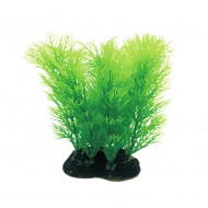 Рослина для декору акваріума Tetradon 6x5x10cм зелена Foxtail