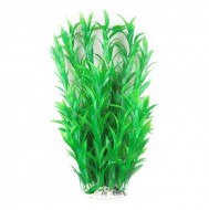 Рослина для акваріума Tetradon 8x6x40см зелена Hygrophila