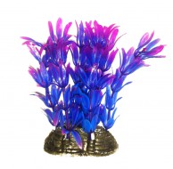Растение для декора аквариума Tetradon 6x5x10cм сине-фиолетовое Hygrophila