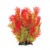 Растение для аквариума Tetradon 8x6x25см красно-зеленое Foxtail