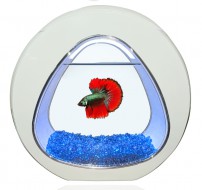 Аквариумный комплект SunSun XYA-02 белый 6 л, 34,5х16,5х31,6 см