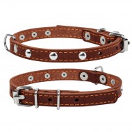 Ошейник CoLLaR одинарный с украшениями  дл 12мм ш 24-32см коричневый