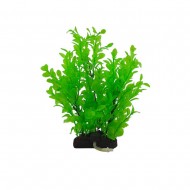 Растение с распылителем ZOLUX AEROPLANT L, гигрофила зеленая