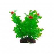 Рослина з розпилювачем ZOLUX AEROPLANT M, кардамін з квіточками